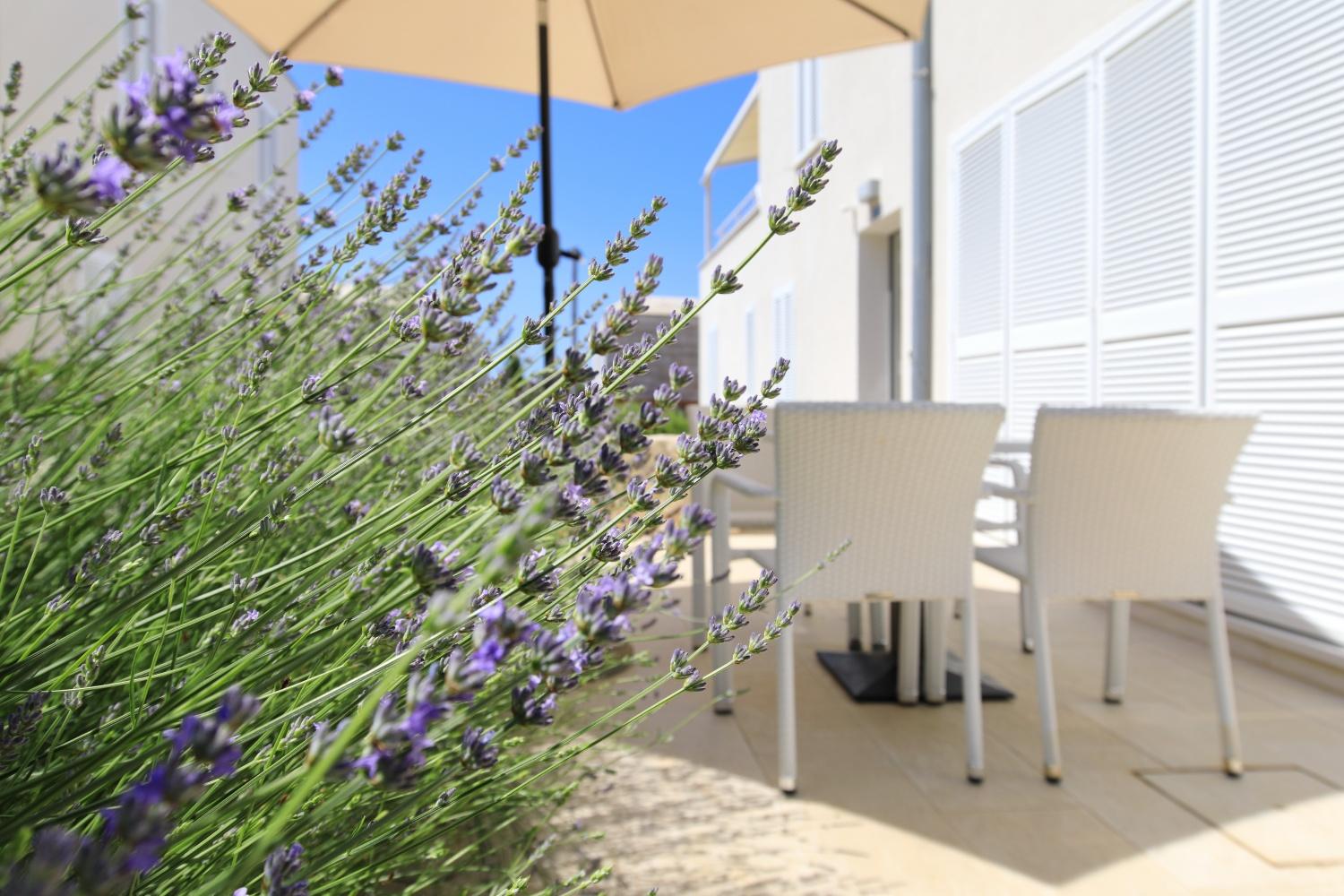 Sunnyside Apartments Resort Petrcane Exteriér fotografie